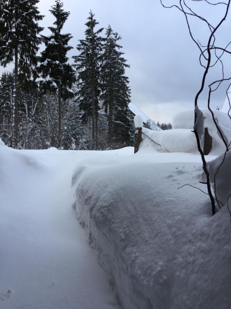 Ht Chalets Harrachov Exterior photo